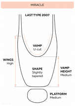Load image into Gallery viewer, Grishko Miracle Pointe Shoe