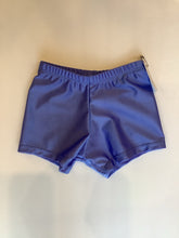 Load image into Gallery viewer, DAKS 1900 Lycra Shorts