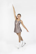 Load image into Gallery viewer, Mondor 675 Skating Dress

